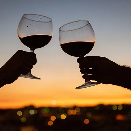 The Hilltop Nest Appartement *